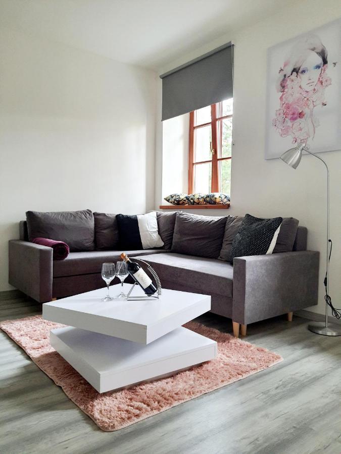 Apartman Spalovka Nový Bor Екстериор снимка