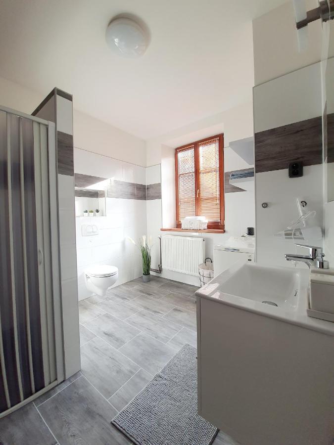 Apartman Spalovka Nový Bor Екстериор снимка